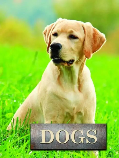 Dogs by Marcus Schneck