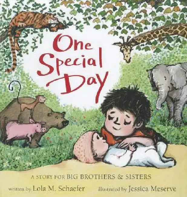 One Special Day: A Story for Big Brothers & Sisters by Lola Schaefer