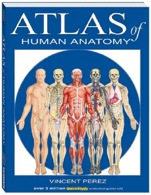 Atlas of Human Anatomy by Vincent Perez