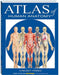 Atlas of Human Anatomy by Vincent Perez