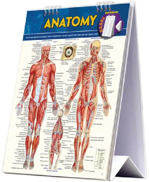 Anatomy Easel Book: A Quickstudy Reference Tool by Vincent Perez