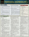 Professional Responsibility: A Quickstudy Laminated Reference Guide by Michele Struffolino