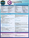 C# Programming: A Quickstudy Laminated Reference Guide by Hugh Gleaves