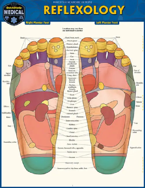 Reflexology: A Quickstudy Laminated Reference Guide by Vincent Perez
