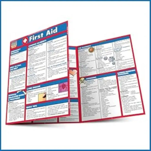 First Aid: A Quickstudy Laminated Reference Guide by Livingston Mike