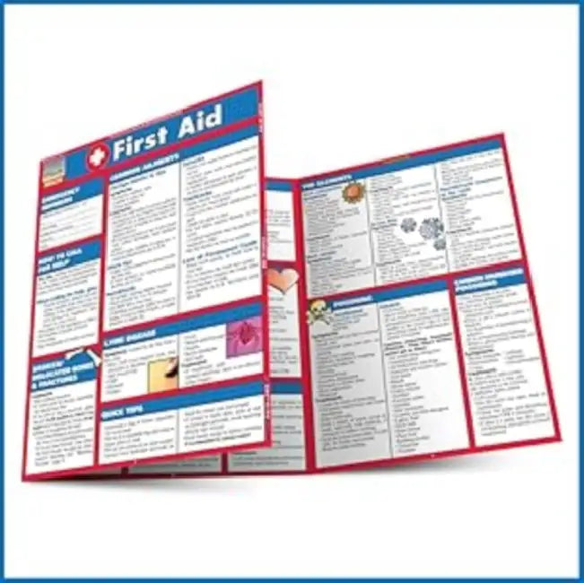 First Aid: A Quickstudy Laminated Reference Guide by Livingston Mike