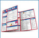 First Aid: A Quickstudy Laminated Reference Guide by Livingston Mike