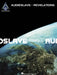 Audioslave: Revelations by Audioslave