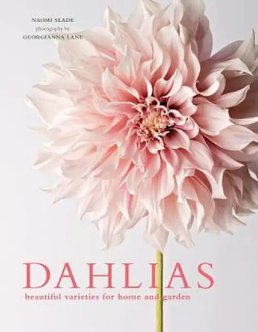 Dahlias: Beautiful Varieties for Home & Garden by Georgianna Lane