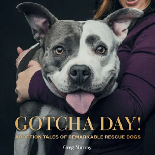 Gotcha Day!: Adoption Tales of Remarkable Rescue Dogs by Greg Murray