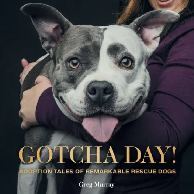 Gotcha Day!: Adoption Tales of Remarkable Rescue Dogs by Greg Murray