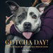 Gotcha Day!: Adoption Tales of Remarkable Rescue Dogs by Greg Murray