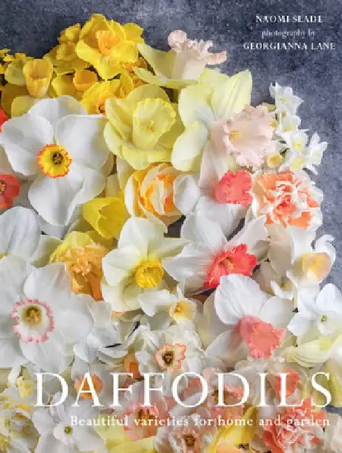 Daffodils: Beautiful Varieties for Home and Garden by Naomi Slade