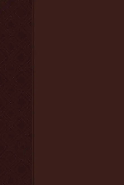 The Passion Translation New Testament (2020 Edition) Brown: With Psalms, Proverbs and Song of Songs by Brian Simmons