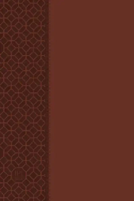 The Passion Translation New Testament (2020 Edition) Large Print Brown: With Psalms, Proverbs and Song of Songs by Brian Simmons