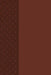 The Passion Translation New Testament (2020 Edition) Large Print Brown: With Psalms, Proverbs and Song of Songs by Brian Simmons