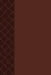 The Passion Translation New Testament (2020 Edition) Compact Brown: With Psalms, Proverbs and Song of Songs by Brian Simmons