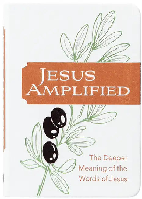 Jesus Amplified: The Deeper Meaning of the Words of Jesus by Comfort, Ray