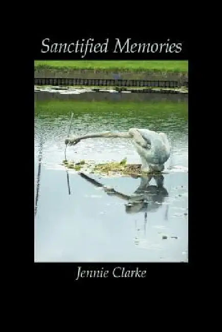 Sanctified Memories by Jennie Clarke