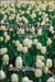 You Never Know: A Memoir by Romy Shiller