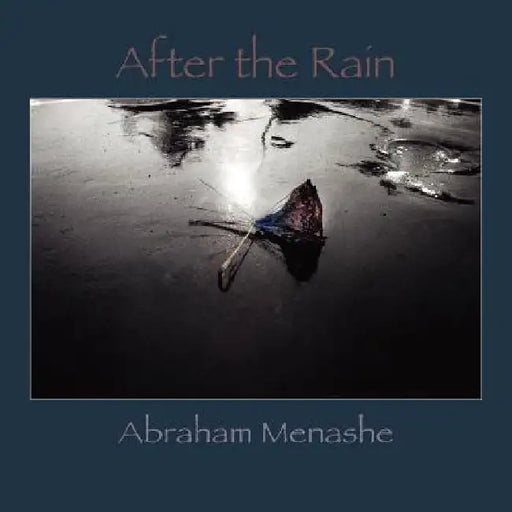 After the Rain by Abraham Menashe