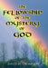 The Fellowship of the Mystery of God: Not Your Everyday Mystery Story by David H. Thompson
