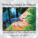 Primary Colors in Nature: Renderings of the Natural World by Susan Noguera