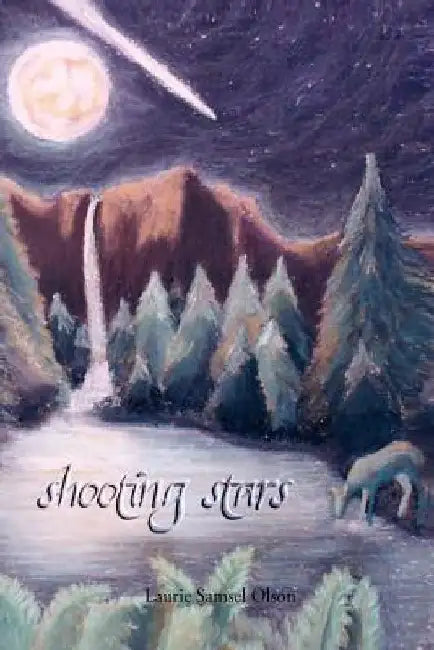 Shooting Stars by Laurie Samsel Olson