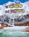 El Ciclo del Agua by Torrey Maloof