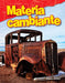 Materia Cambiante by Karen Larson