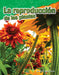 La Reproducción de Las Plantas by Shelly Buchanan