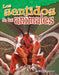 Los Sentidos de Los Animales by Shelly Buchanan
