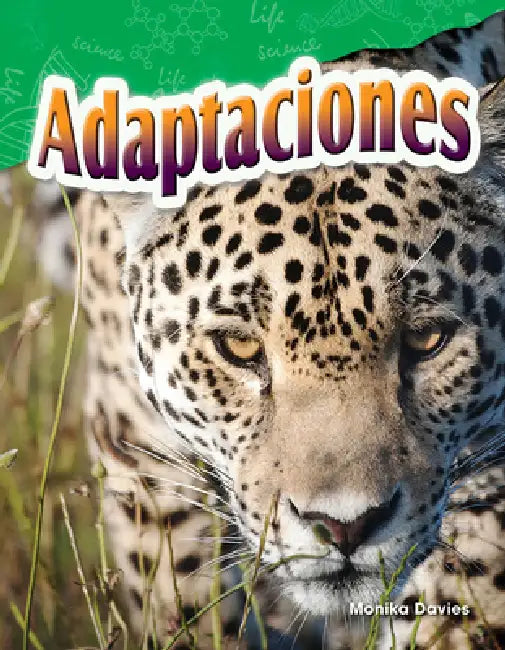 Adaptaciones by Monika Davies