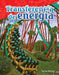 Transferencia de Energía by Torrey Maloof