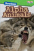 Showdown: Alpha Animals (Level 3) by Saskia Lacey