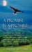A Promise Is a Promise by Carlena Williams