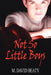 Not So Little Boys by M. David Beaty
