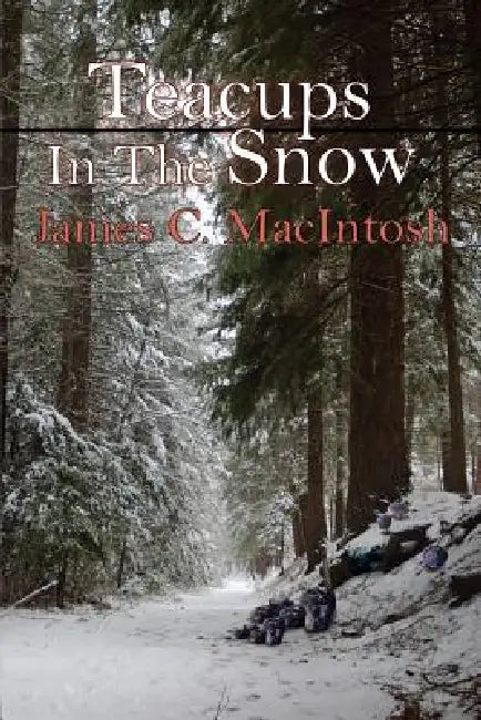 Teacups In The Snow by James C. Macintosh