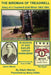 The Birdman of Treadwell: Diary of a Treadwell Gold Miner by Edwin Warren