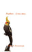 Feathers - A true story. by Delpha R. Rockenbaugh