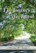 The Journey We Travel by Deann M. Dizonno