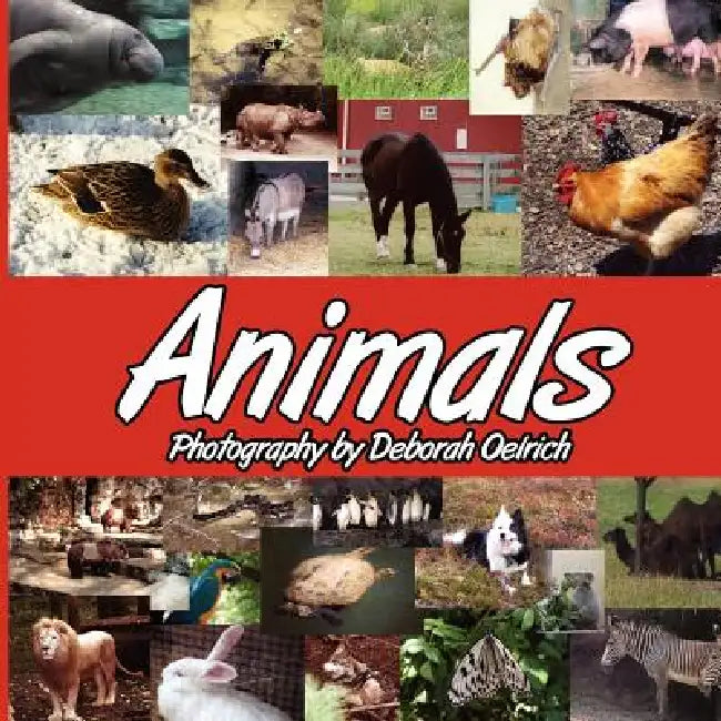 Animals by Deborah Oelrich