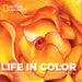 Life in Color: National Geographic Photographs by Annie Griffiths