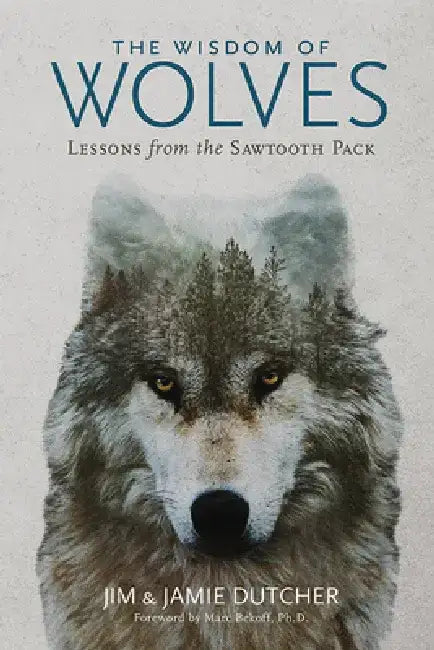 The Wisdom of Wolves: Lessons from the Sawtooth Pack by Jim Dutcher