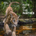 Path of the Panther: New Hope for Wild Florida by Carlton Ward