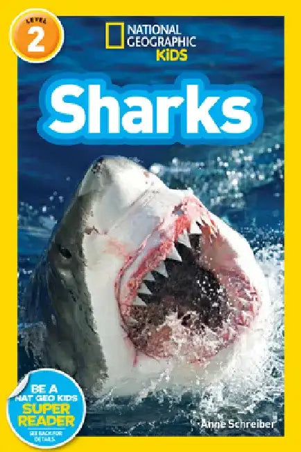 Sharks! by Anne Schreiber