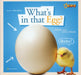 What's in That Egg?: A Book about Life Cycles by Becky Baines