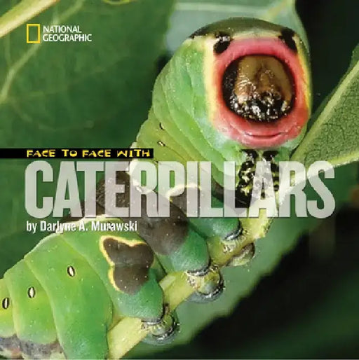Face to Face with Caterpillars by Darlyne Murawski