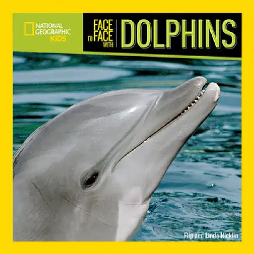 Face to Face with Dolphins by Flip Nicklin
