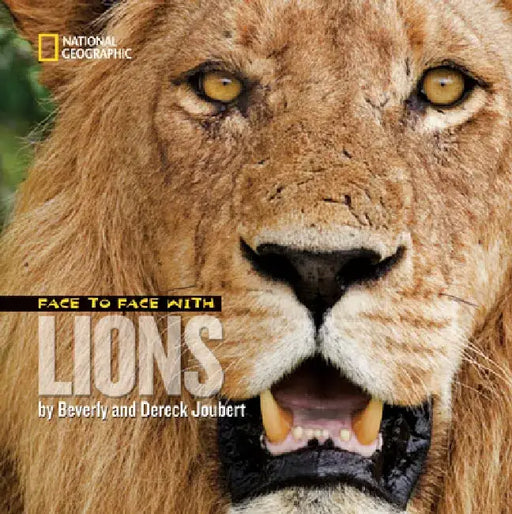 Face to Face with Lions by Dereck Joubert